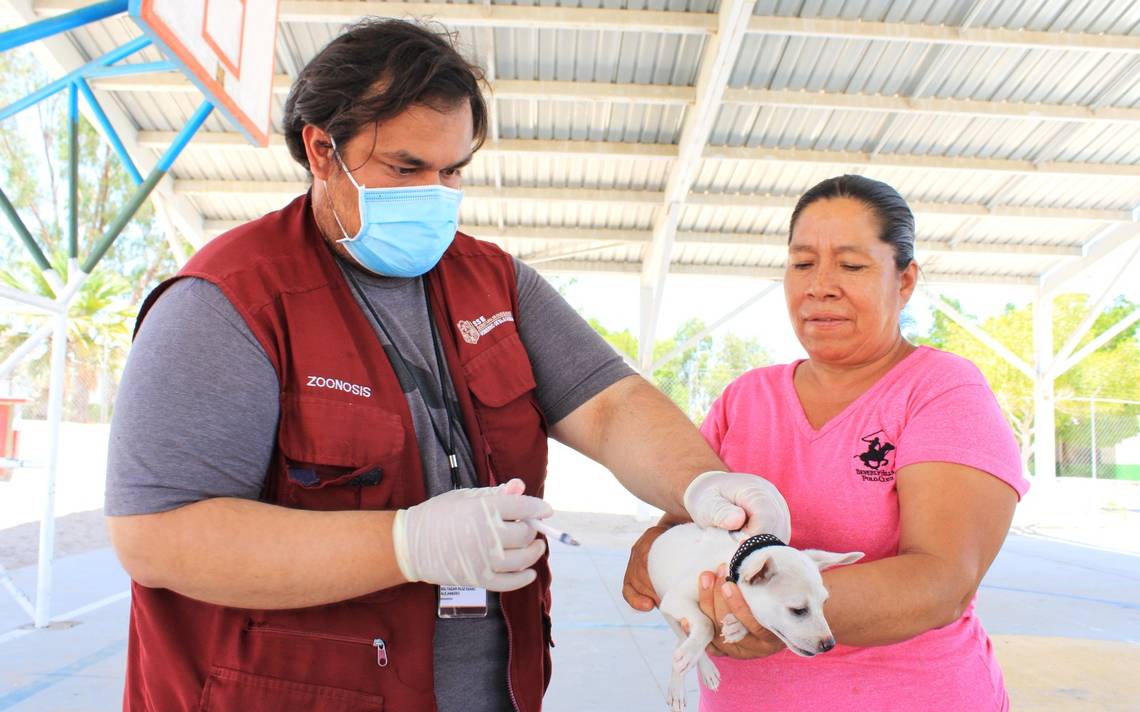 Upcoming Free Canine and Feline Anti-Rabies Vaccination Campaign in Villas del Roble Fraccionamiento Park